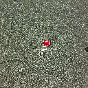 20250127_143355.webp