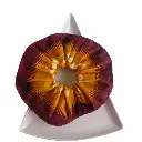 352 _Back side.webp
