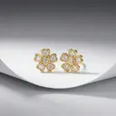 Gulshine Studs (code 387)